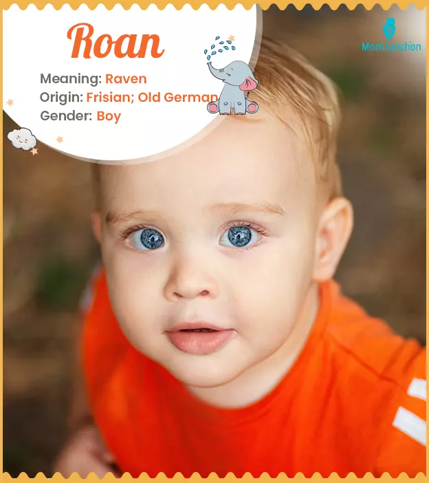 roan: Name Meaning, Origin, History, And Popularity | MomJunction