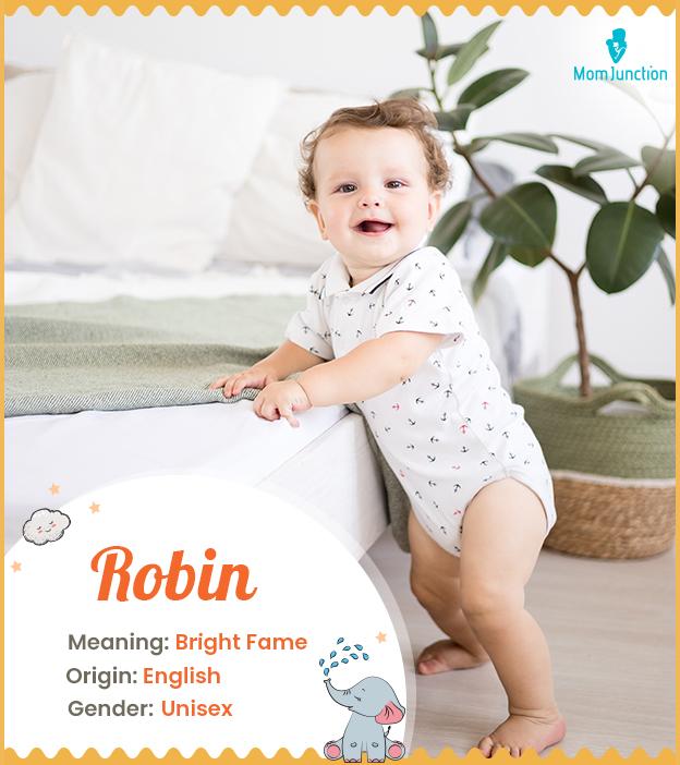 Robin Name, Origin, Meaning, And History_image