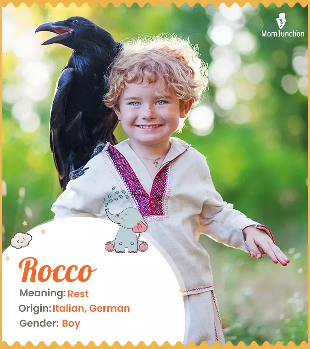 Rocco Name Meaning, Origin, History, And Popularity_image