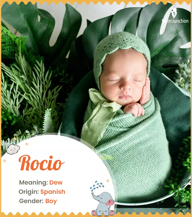 rocio: Name Meaning, Origin, History, And Popularity | MomJunction