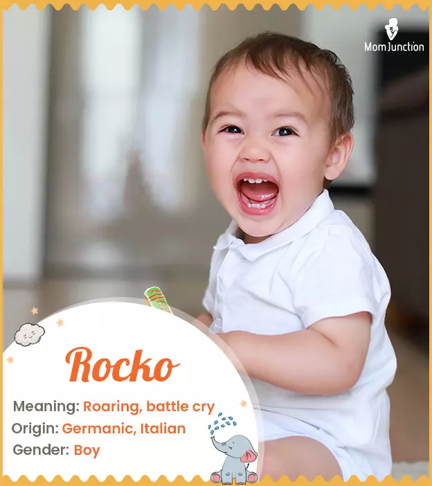 Rocko Name Meaning, Origin, History, And Popularity_image