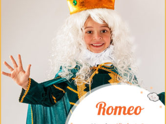 Romeo, pilgrim to Rome