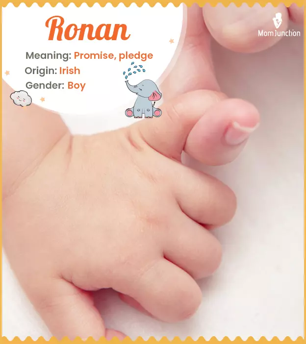 ronan: Name Meaning, Origin, History, And Popularity | MomJunction