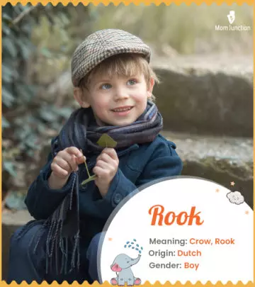 Explore Rook: Meaning, Origin & Popularity | MomJunction