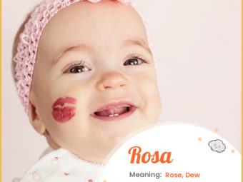Rosa meaning Rose or Dew