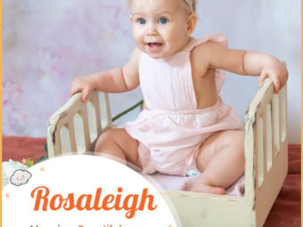 Rosaleigh is a feminine name
