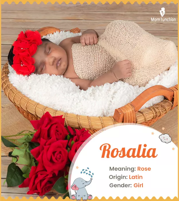 Rosalia meaning rose