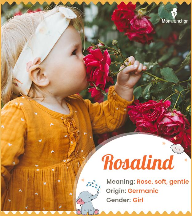 Rosalind: Name Meaning, Origin, History, And Popularity_image