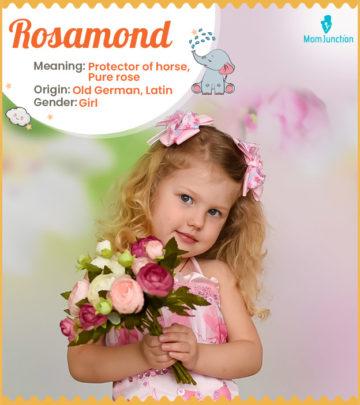 Explore Rosamond: Meaning, Origin & Popularity_image