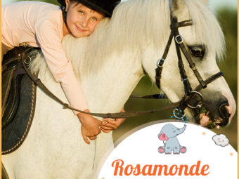 Rosamonde, a horse protector