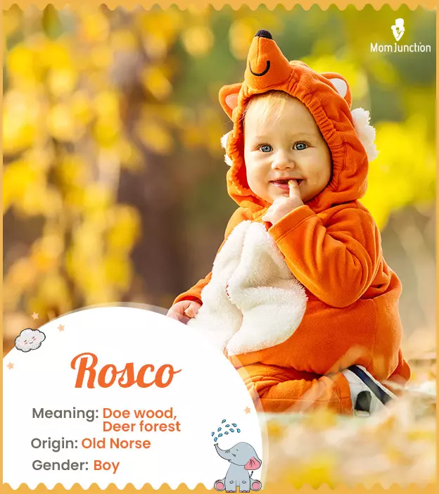 Explore Rosco: Meaning, Origin & Popularity | MomJunction