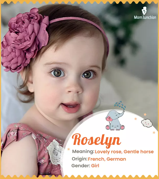 roselyn: Name Meaning, Origin, History, And Popularity_image