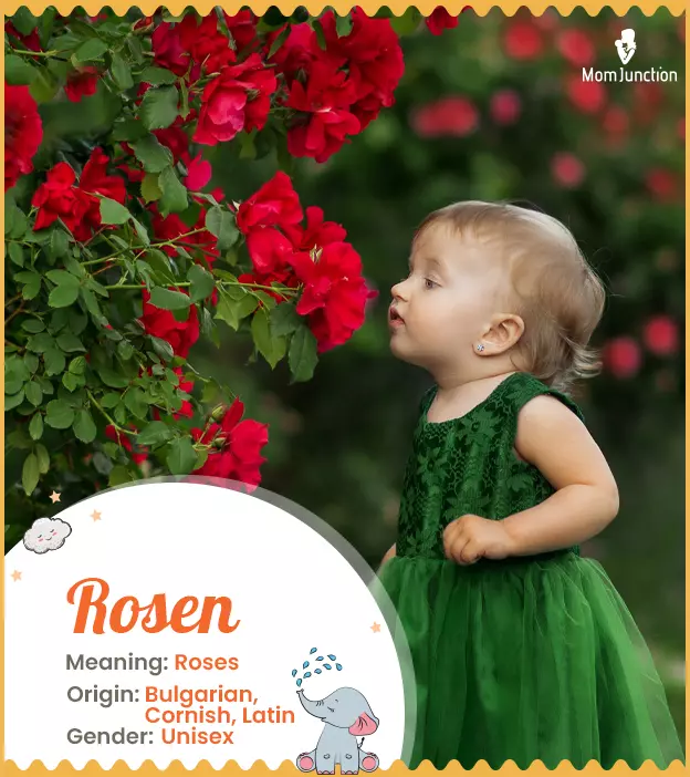 Explore Rosen: Meaning, Origin & Popularity_image