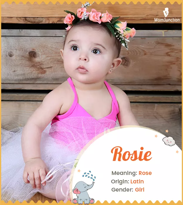 Rosie Name, Meaning, Origin, History, And Popularity_image