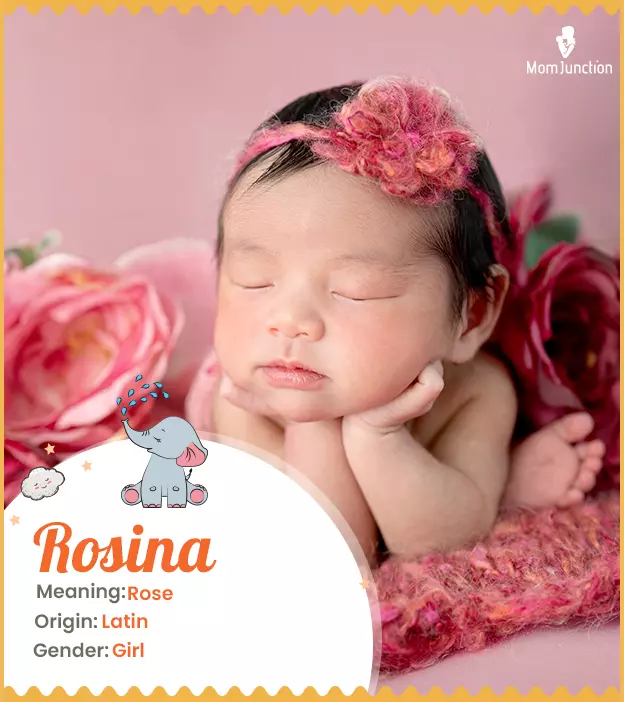 Rosina Name Meaning, Origin, History, And Popularity_image