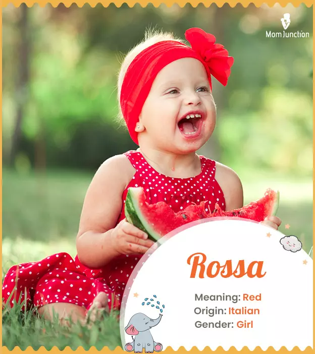 Rossa Name Meaning, Origin, History, And Popularity_image