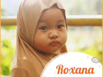 Roxana means shining