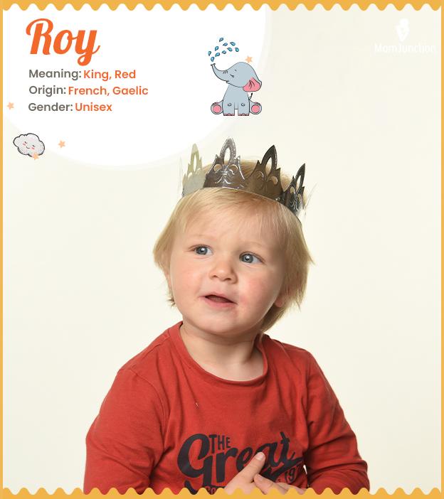 Roy Name Origin Meaning History And Popularity MomJunction
