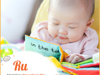 Ru, a Chinese name meaning scholar