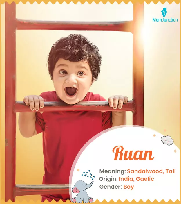 Ruan: Name Meaning, Origin, History, And Popularity | MomJunction