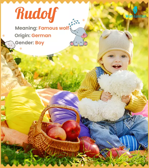 Rudolf Name Meaning, Origin, History, And Popularity._image