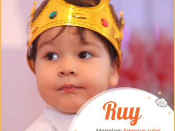 Ruy means ruler
