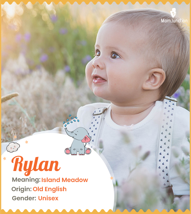 Riley Name Meaning, Origin, Popularity, Girl Names Like Riley - Mama Natural