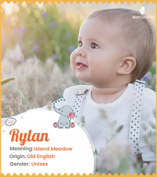 Rylan, meaning islan