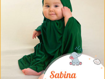 Sabina means a sabine