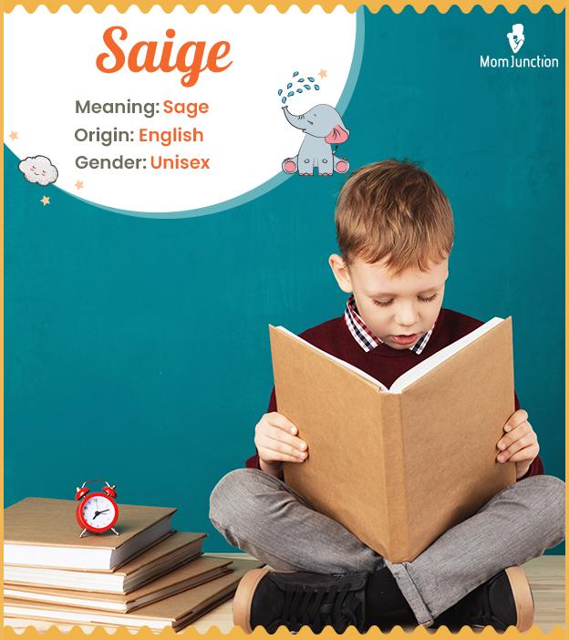 Saige Name Meaning, Origin, History, And Popularity_image