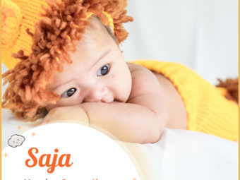 Saja, meaning lion or serene