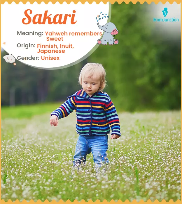 Sakari Name Meaning, Origin, History, And Popularity_image