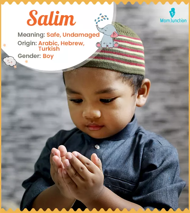 Salim Name, Meaning, Origin, History, And Popularity | MomJunction