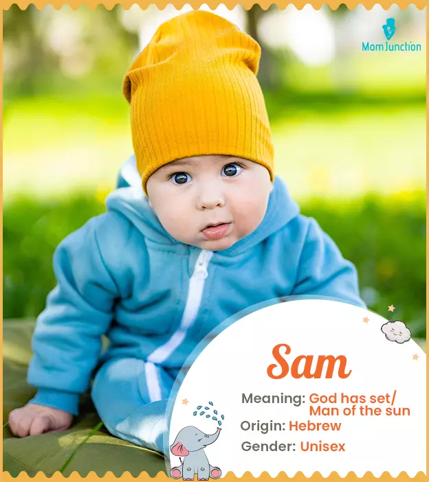 Sam Meaning, Origin, History, And Popularity | MomJunction