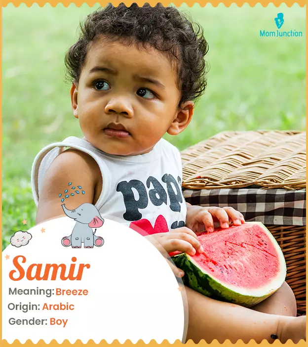 Samir Name Meaning, Origin, History, And Popularity_image