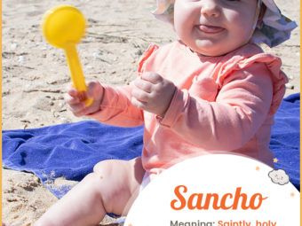 Sancho, means saintly, holy, or sacred.