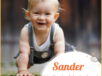 Sander means defender of people.