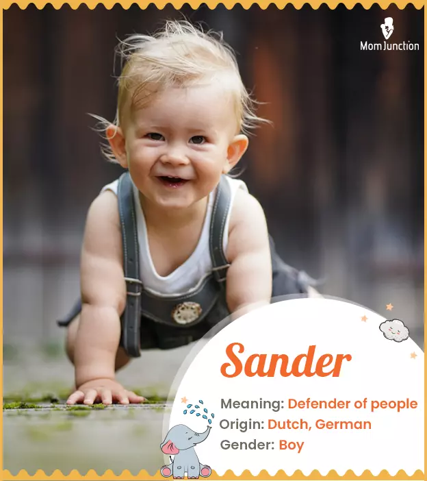 Explore Sander: Meaning, Origin & Popularity | MomJunction