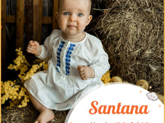 Santana, means holy, Saint Anna, or a saintly man.