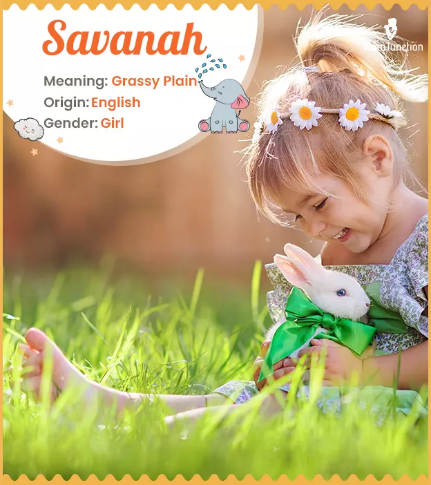 Savanah: Name Meaning, Origin, History, And Popularity_image