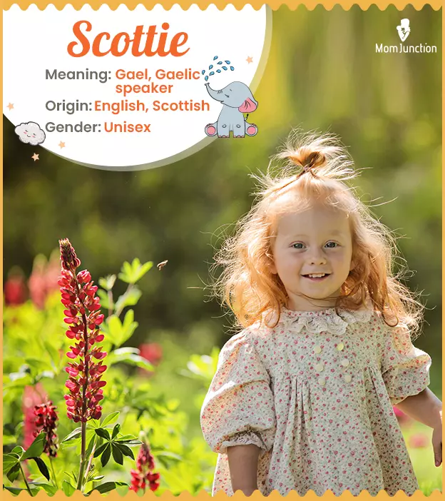 Scottie: Name Meaning, Origin, History, And Popularity | MomJunction