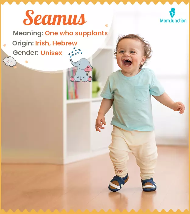 Seamus Name, Origin, Meaning, And History | MomJunction