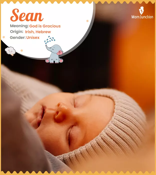 Sean: Name Meaning, Origin, History, And Popularity | MomJunction