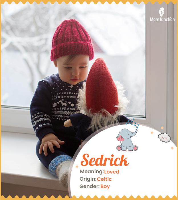 sedrick: Name Meaning, Origin, History, And Popularity_image