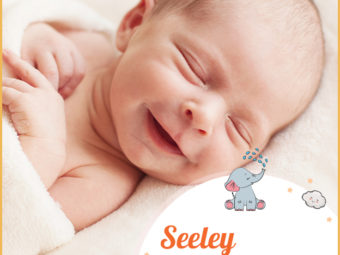 Seeley, means blessed or happy