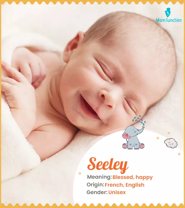 Seeley: Name Meaning, Origin, History, And Popularity | MomJunction