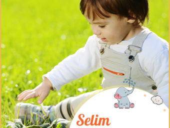 Selim, meaning safe
