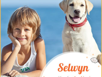 Selwyn means manor friend