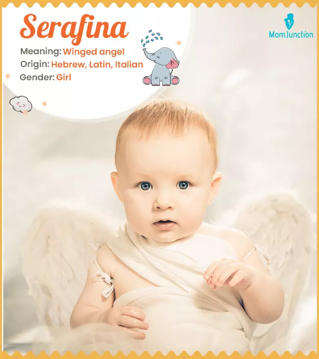 Serafina Name Meaning, Origin, History, And Popularity_image