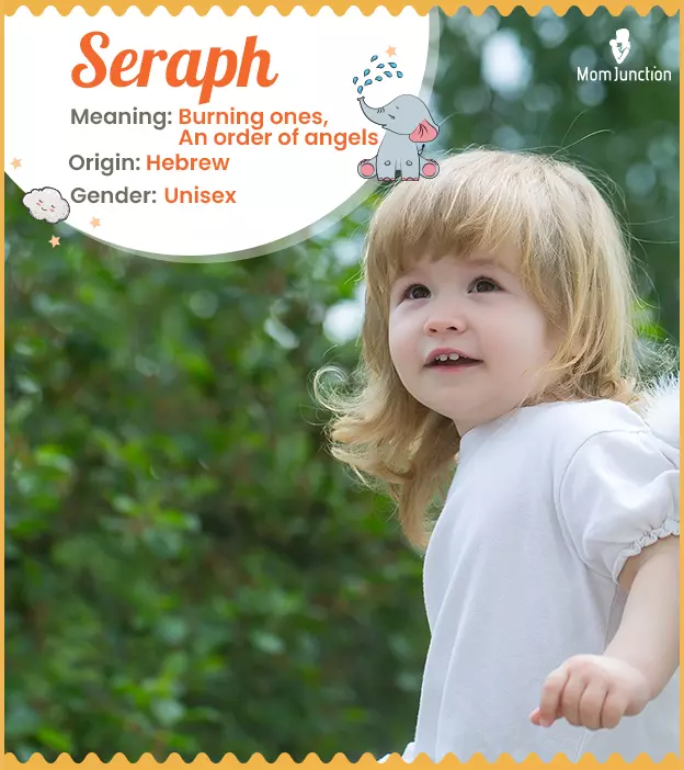 Explore Seraph: Meaning, Origin & Popularity | MomJunction